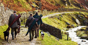Assurance pour chien de chasse