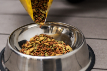 Comment choisir les meilleures croquettes pour chien stérilisé ?