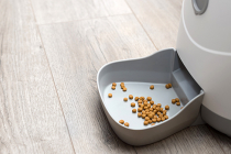 Comment choisir le meilleur distributeur de croquettes pour chat ?