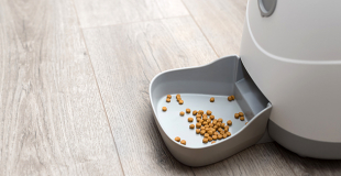 Comment choisir le meilleur distributeur de croquettes pour chat ?