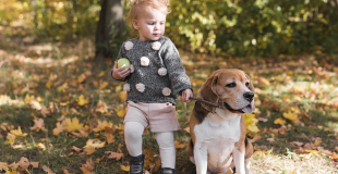Chiens parfaitement adaptés aux enfants : top 10 des meilleures races !